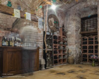 cave-like interior of the wine shop with a ghosted figure at the counter and racks of wine bottles