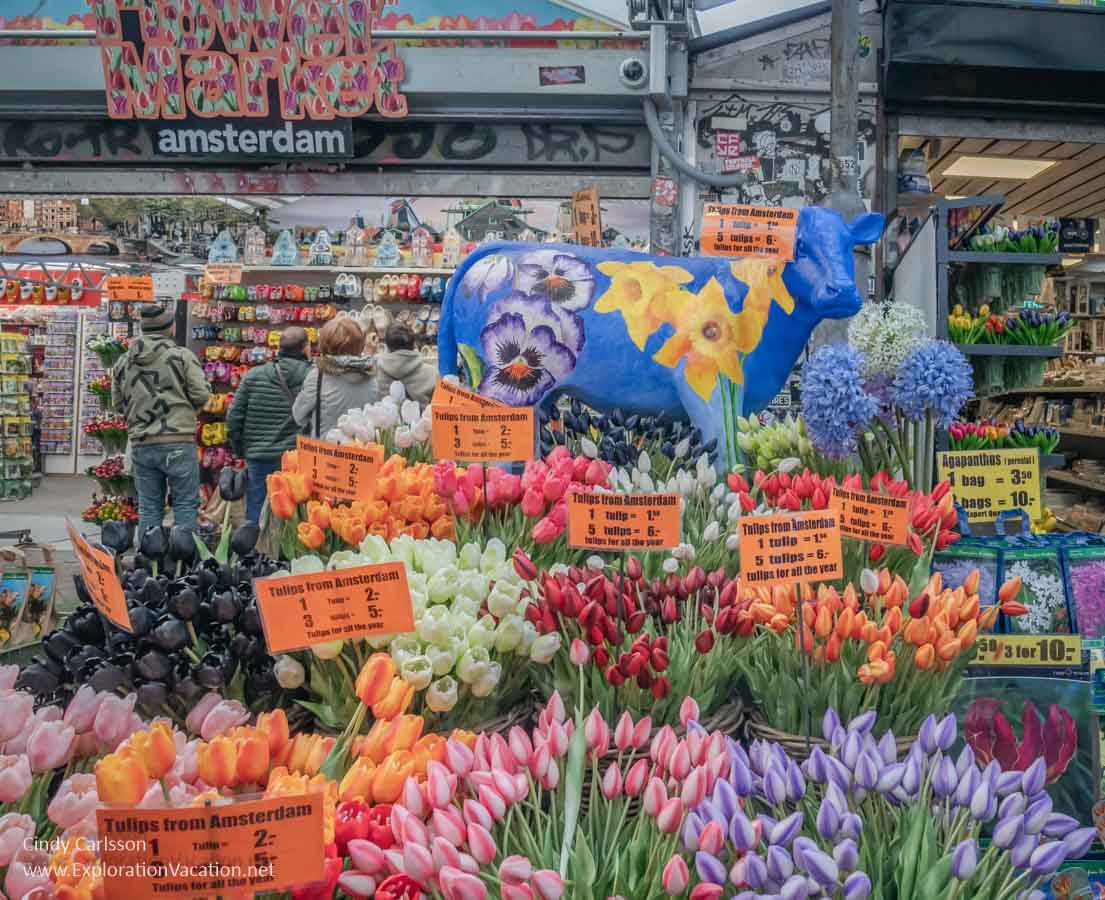 Photo inside a shop in Amsterdam's Floating Flower Market. (Photo by Cindy Carlsson - ExplorationVacation.net)