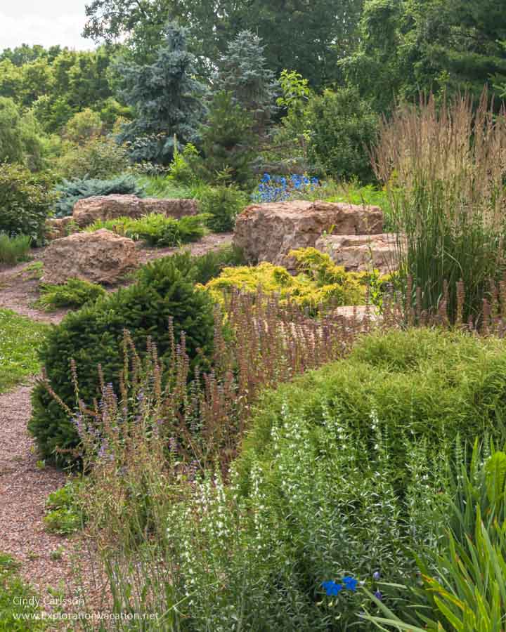 mostly green plants and boulders 