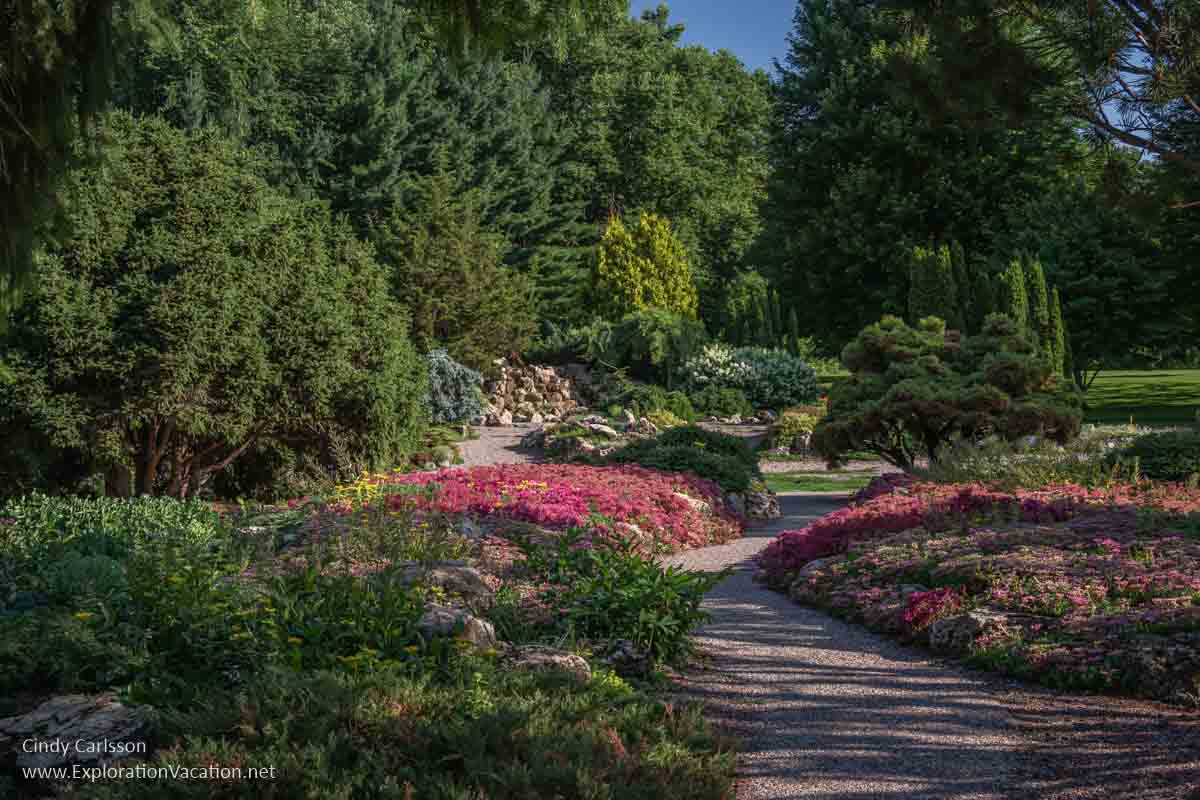 Paths and red flowers leading to conifers