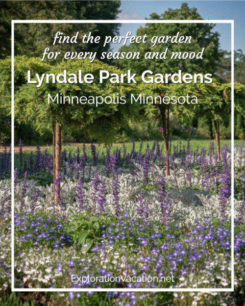 purple and white garden with "Lyndale Park Garden" text