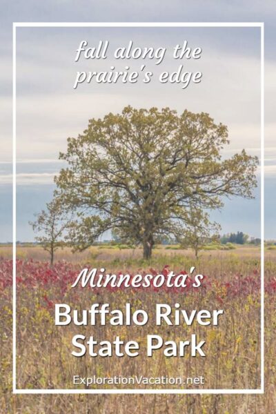 Oak tree and prairie in fall with text "Minnesota's Buffalo River State Park"