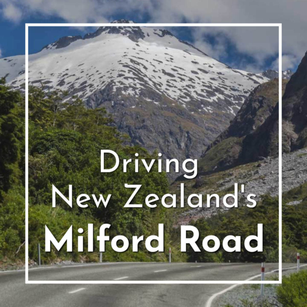 Link to a story and photos about Driving New Zealand's Milford Road on ExplorationVacation.net.