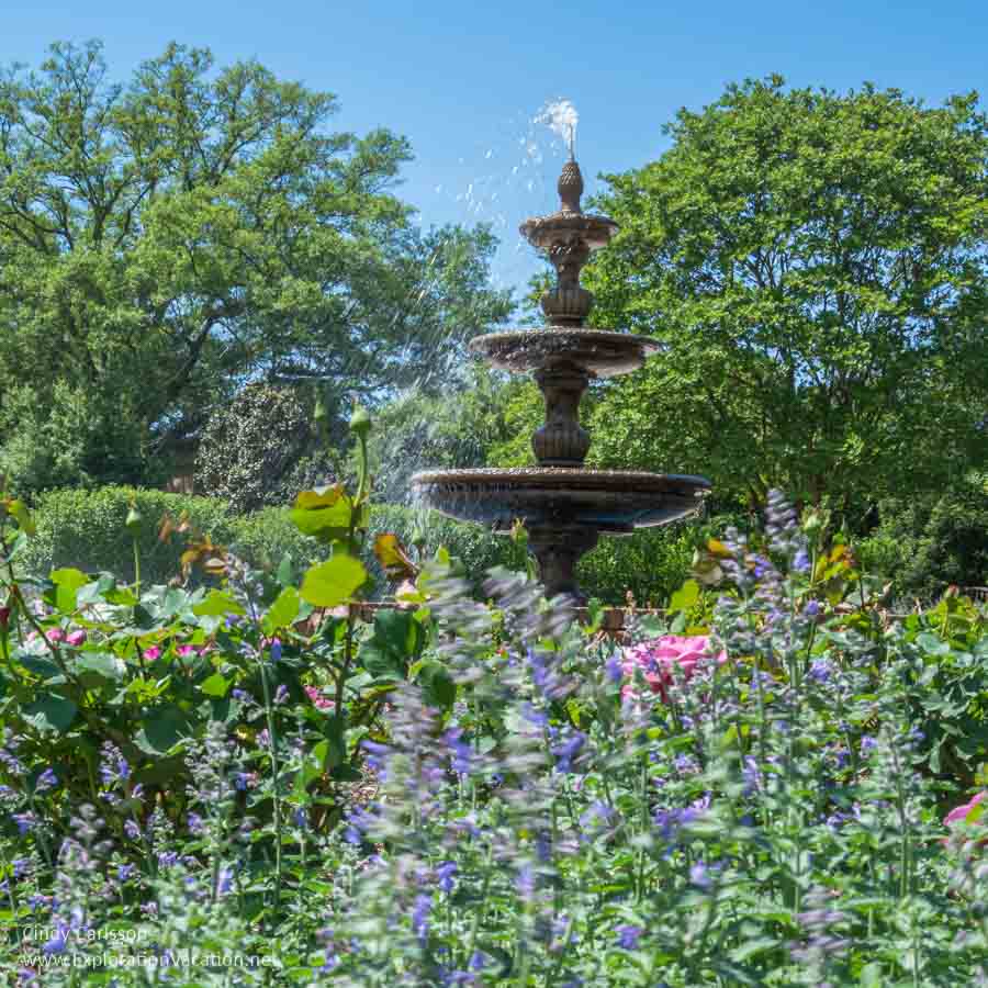 RICH SOIL AT THE GARDEN – Memphis Botanic Garden