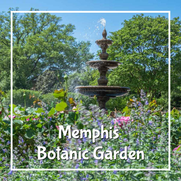 link to posts on Memphis Botanic Garden