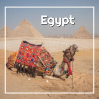 camel by the pyramids with text "Egypt"