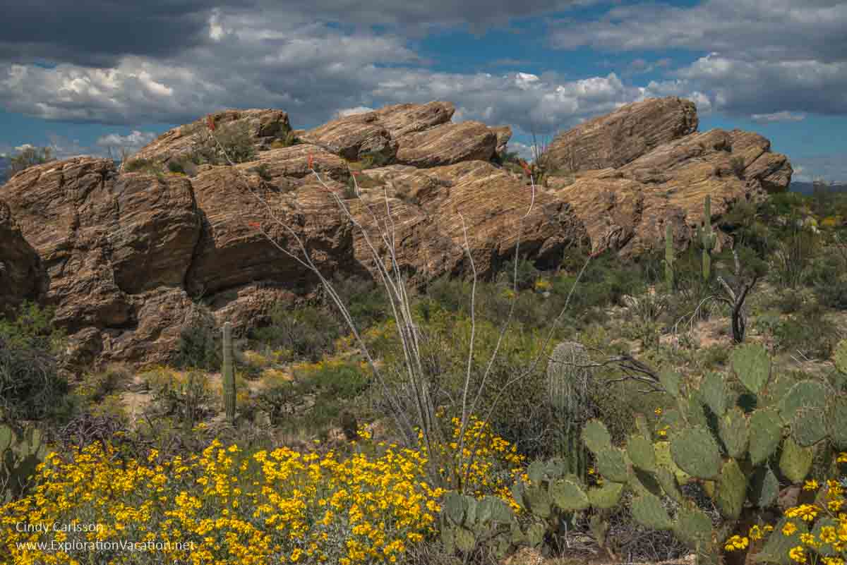 rock formation with cacti