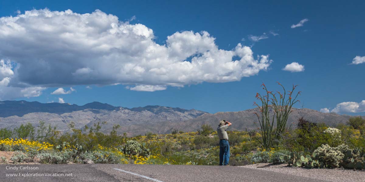 man with binoculars along a road through the desert