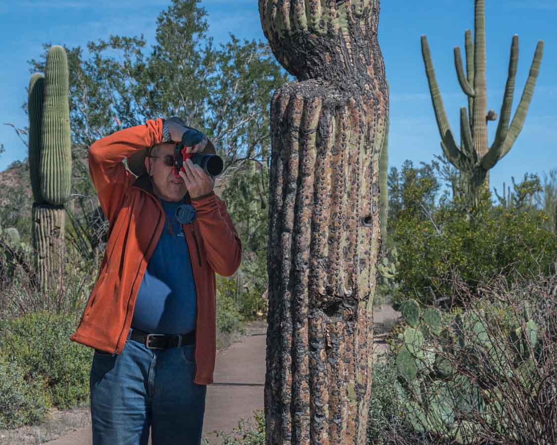 Saguaro National Park West Tucson Arizona © Cindy Carlsson at ExplorationVacation