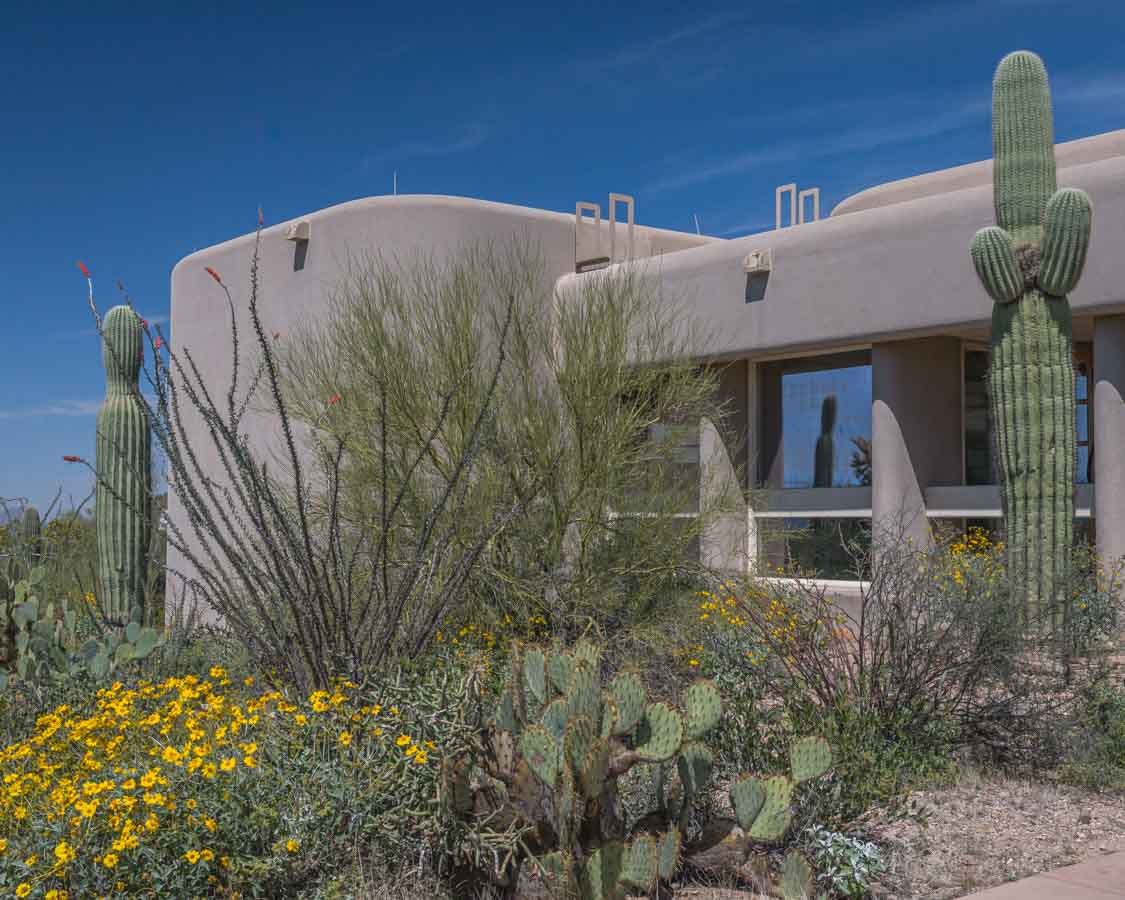 visitor center building with cacti