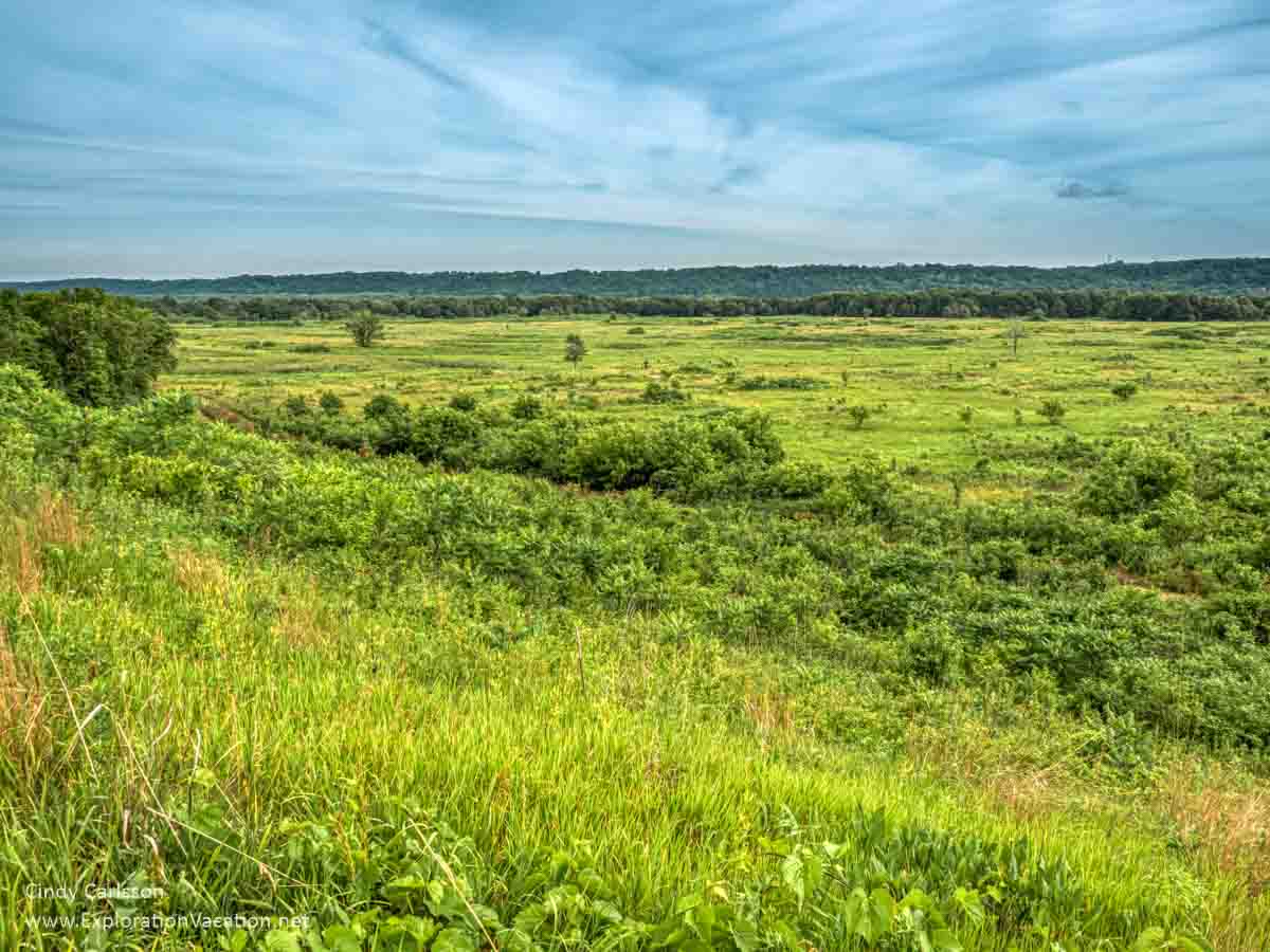 prairie landscape looking from a bluff
