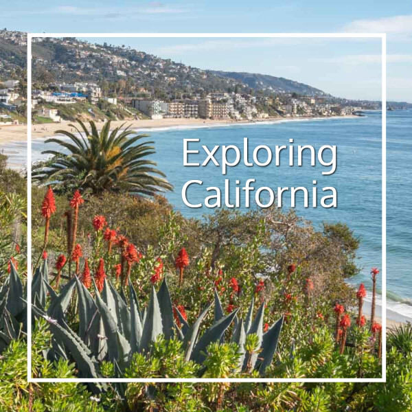 flowers and palms above the ocean with text "Exploring California"