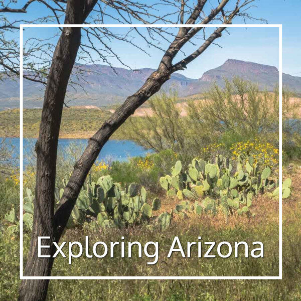 cacti, mountains, and lake with text "Exploring Arizona"