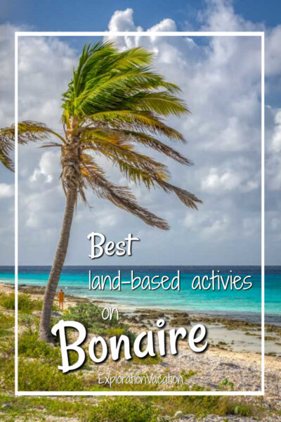 palm tree and beach with text "best land-based activities on Bonaire"