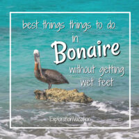 pelican on rock surrounded by water with text "best things to do on Bonaire without getting wet feet"