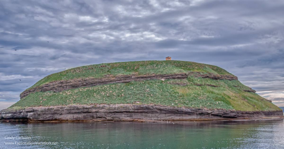 island with birds
