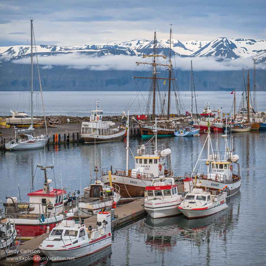 boats in a harbor with mountains