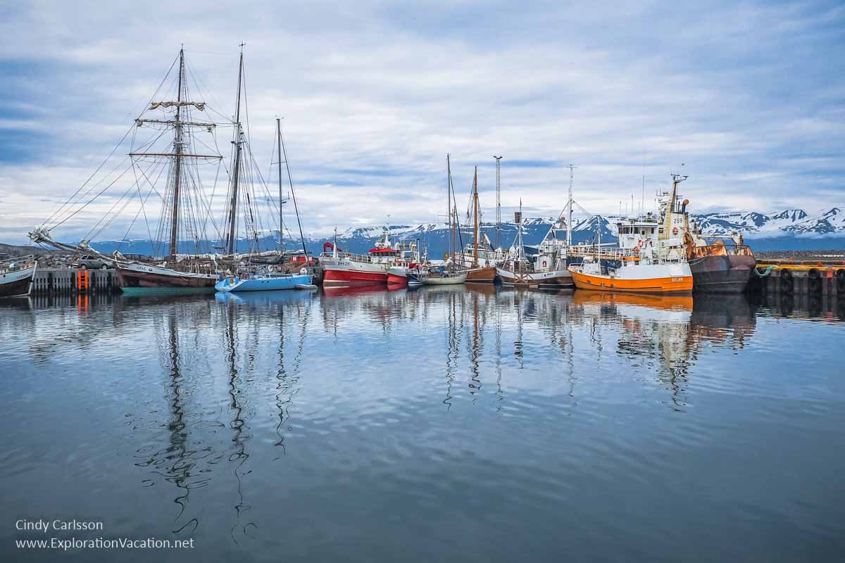 harbor with traditional working boats
