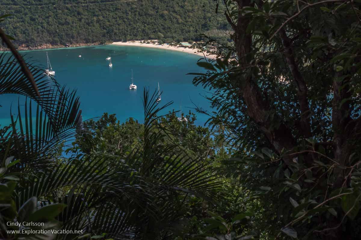 view of a bay through the trees