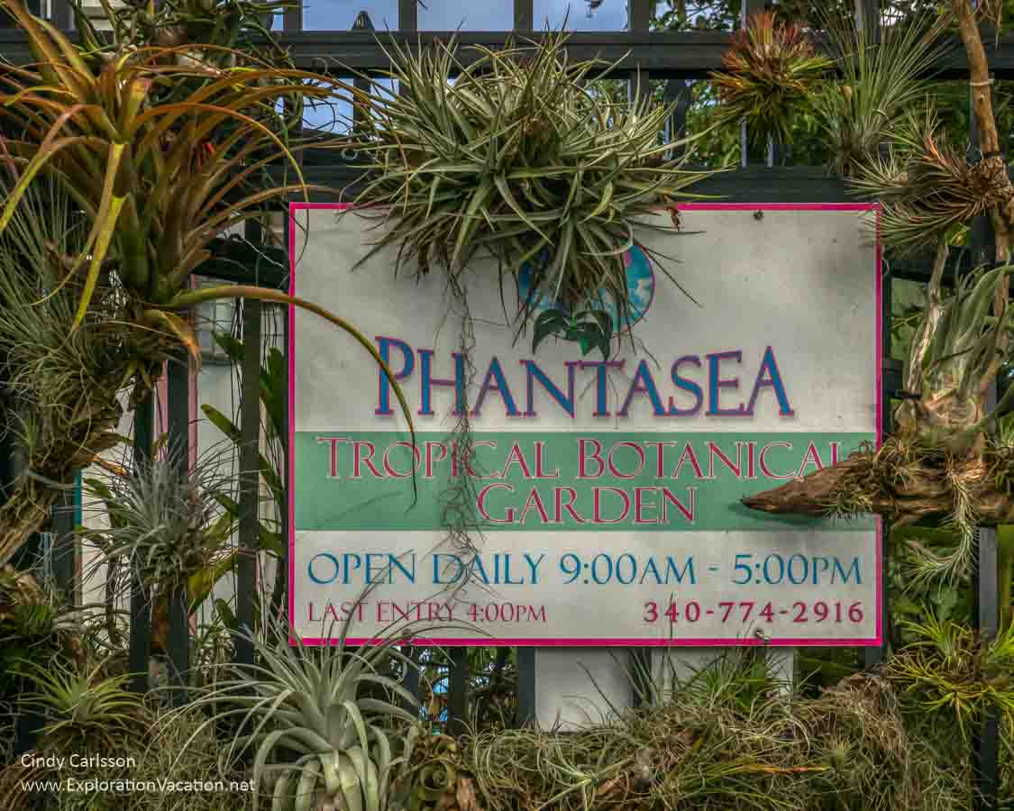 Phantasea sign with plants