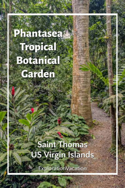 tropical plants and path with text "Phantasea Tropical Botanical Garden St Thomas"