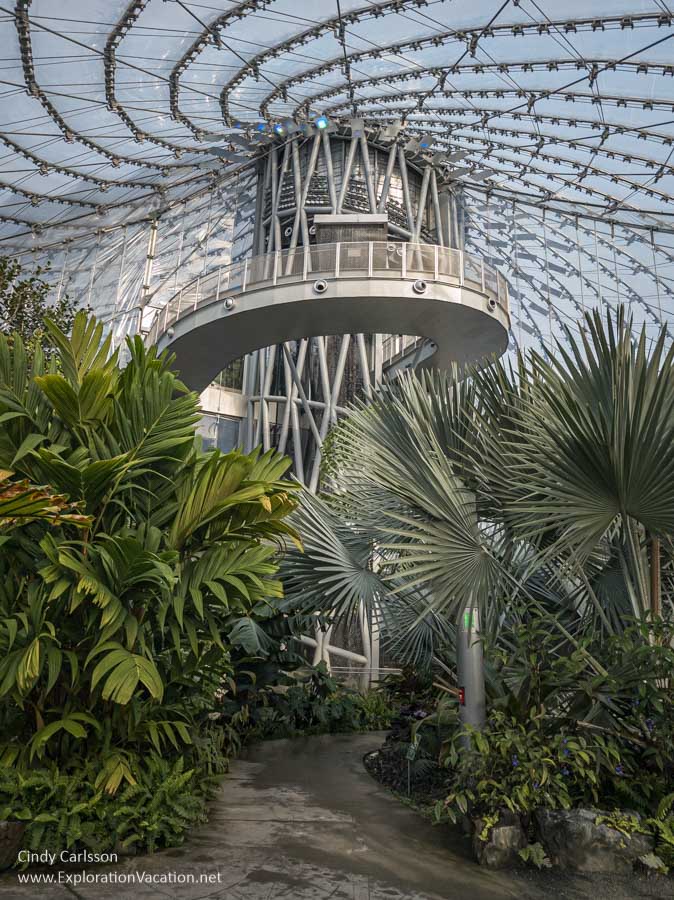 A tower in a glass dome with a walkway and waterfall in a tropical garden.