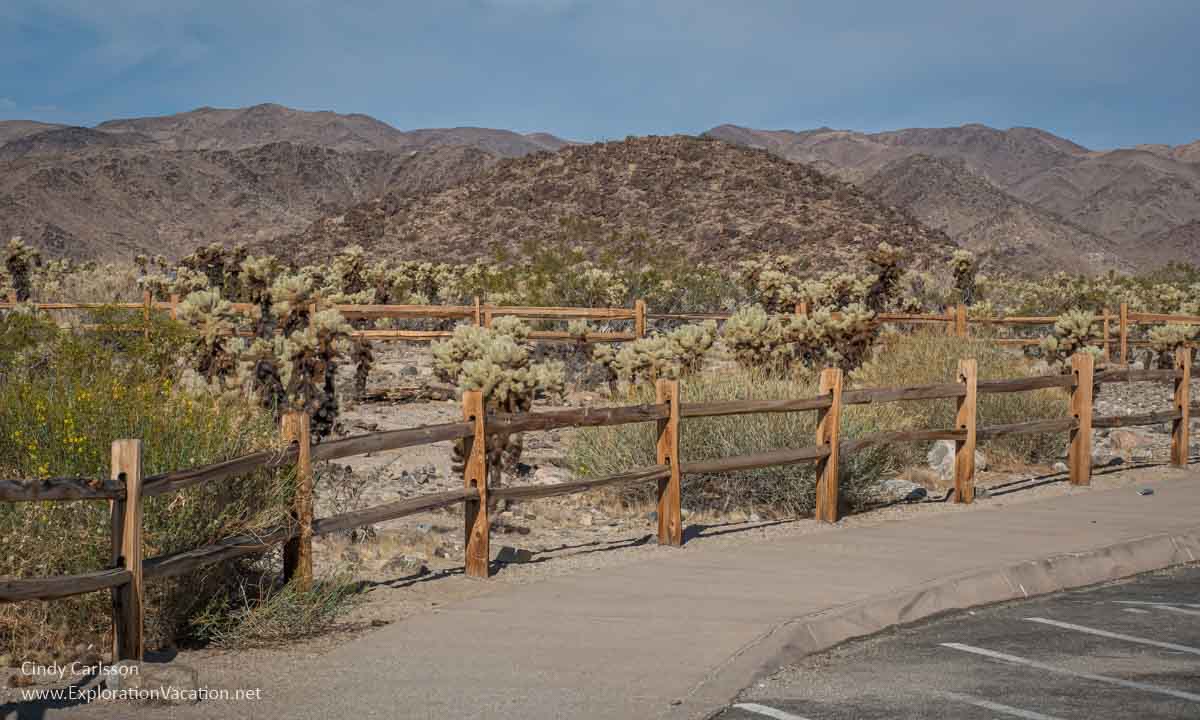 photo of a fence with cholla cacti and mountains 