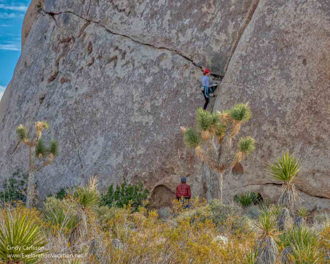 photo of rock climbers at Joshua Tree park
