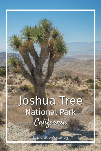 photo of a Joshua tree with text "Joshua Tree National Park California"