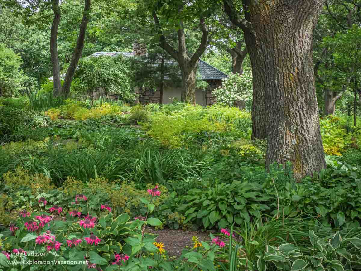 shade garden with bright flowers