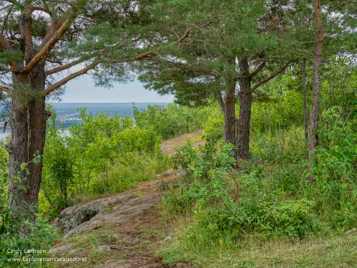 wooded trail above Lake Superior