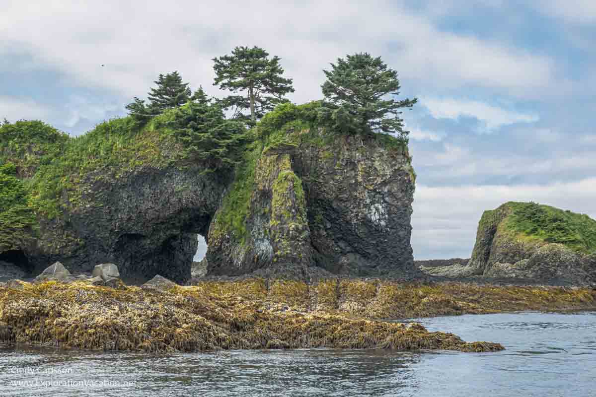 rocky island in Sitka Sound Alaska