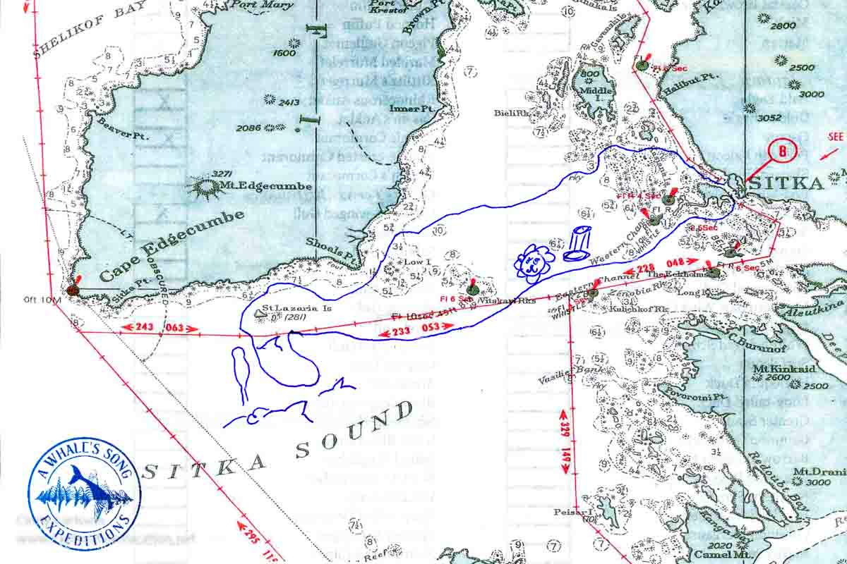 map showing a bird and whale watching tour route in Sitka Sound Alaska 