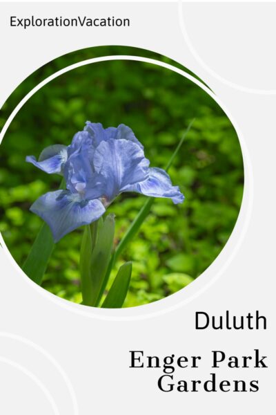 Blue iris with text: "Enger Park Gardens Duluth - ExplorationVacation.net"