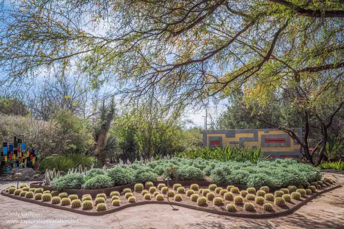 photo of a formal garden with cacti