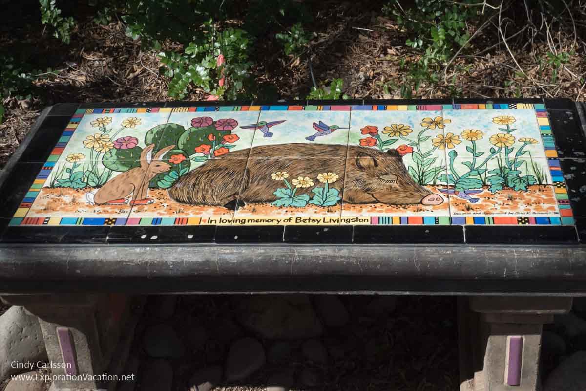 Photo of a bench painted with a javelina