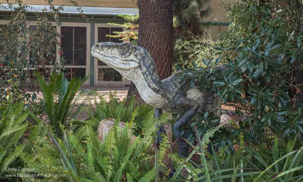 Photo of a dinosaur sculpture poking its head above the foliage in a garden
