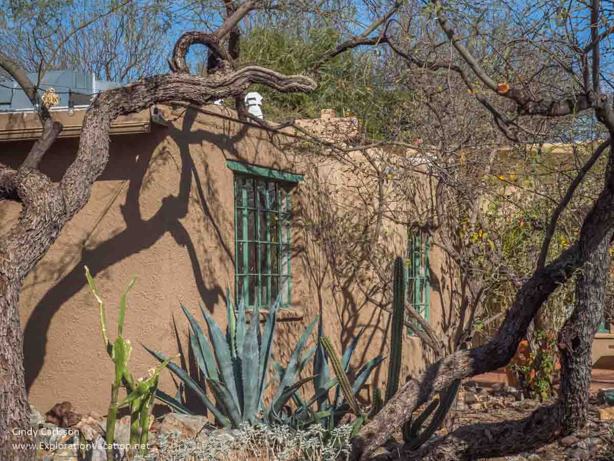 photo of cacti along an adobe building