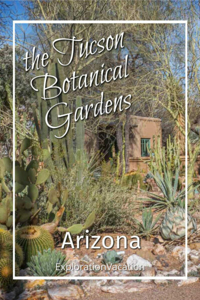 Photo of a cactus garden around an adobe house with text "the Tucson Botanical Gardens Arizona"