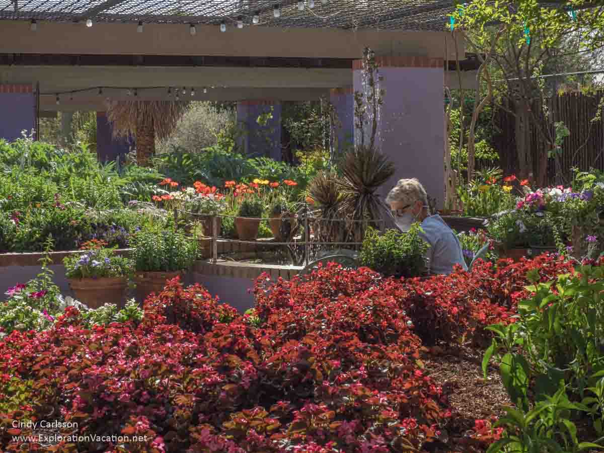 woman sitting in a garden
