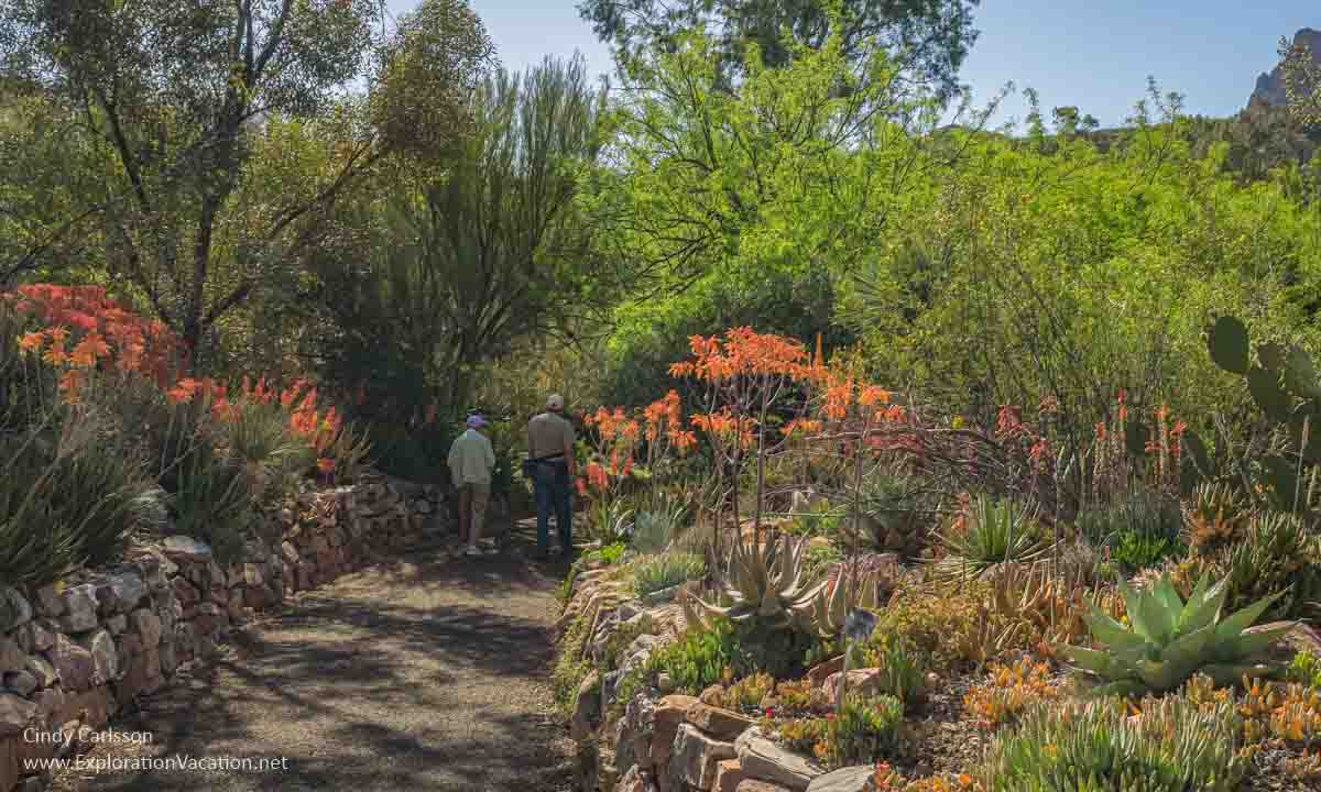 people on a path through a garden