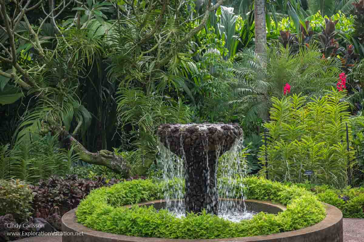 A small fountain or bird bath in a jungle garden.