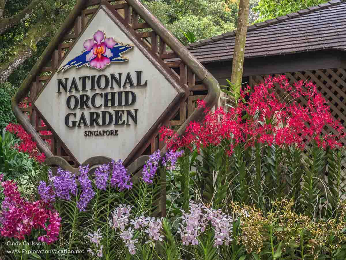 photo of sign for the National Orchid Garden in Singapore with orchids