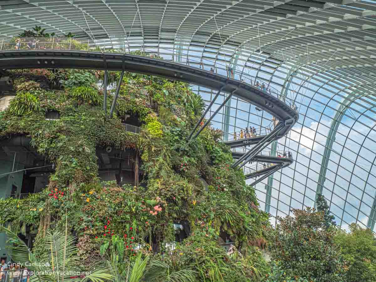 A \"mountain\" and suspended walkways in a domed conservatory in Singapore.
