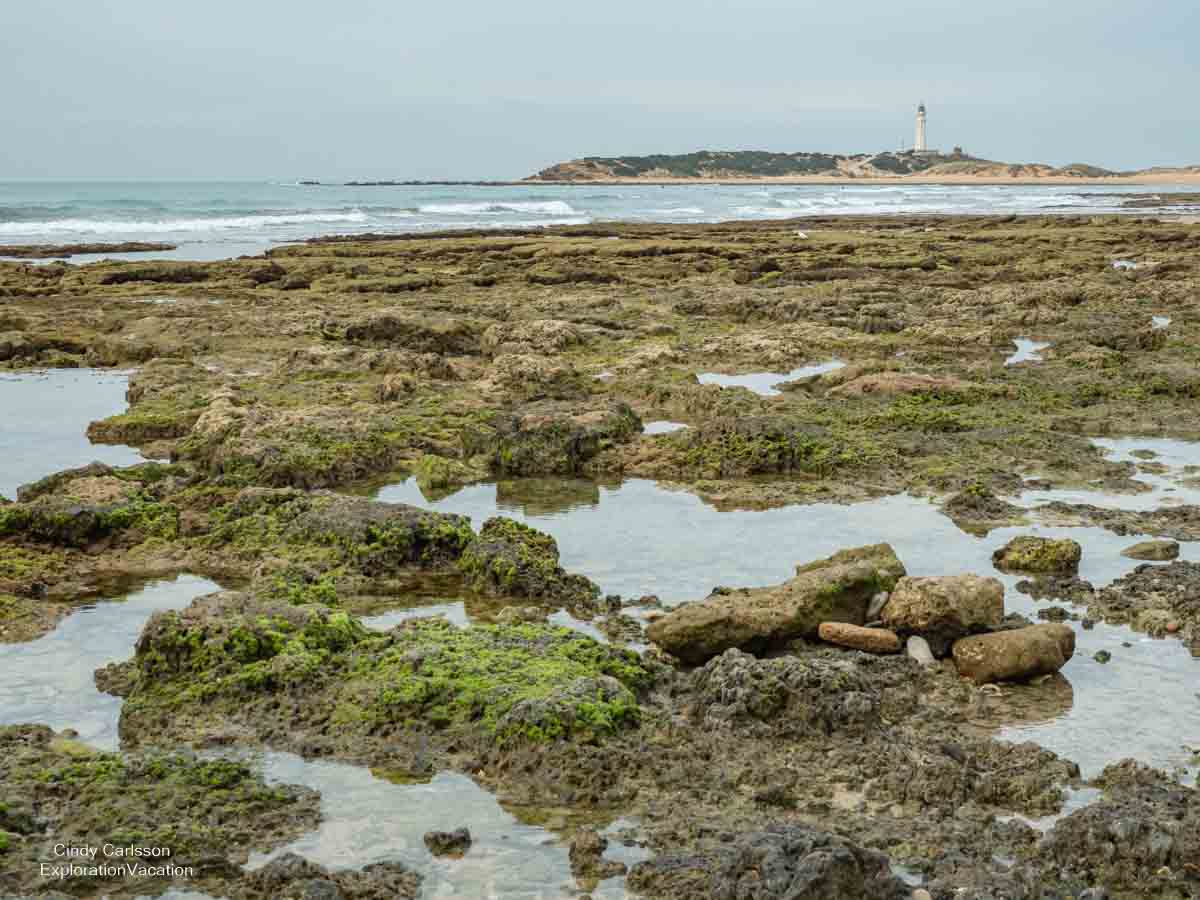 photo of tide pools and lighthouse in Spain