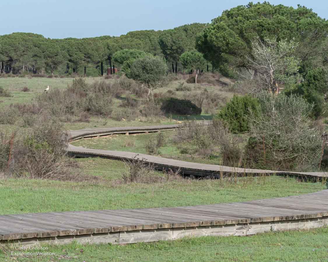 photo of paths in Donana National Park in Spain © Cindy Carlsson at ExplorationVacation