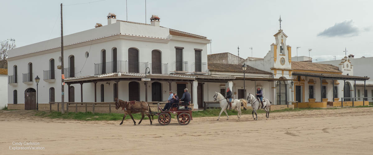 photo of horses in El Rocio Spain