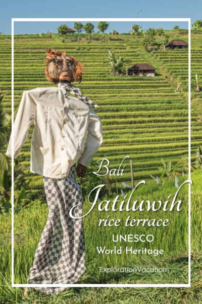 photo of a scarecrow in a rice paddy with text "Bali's Jatiluwih Rice Terrace UNESCO World Heritage Site"
