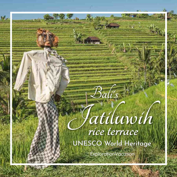 photo of a scarecrow in a rice paddy with text "Bali's Jatiluwih Rice Terrace UNESCO World Heritage Site"