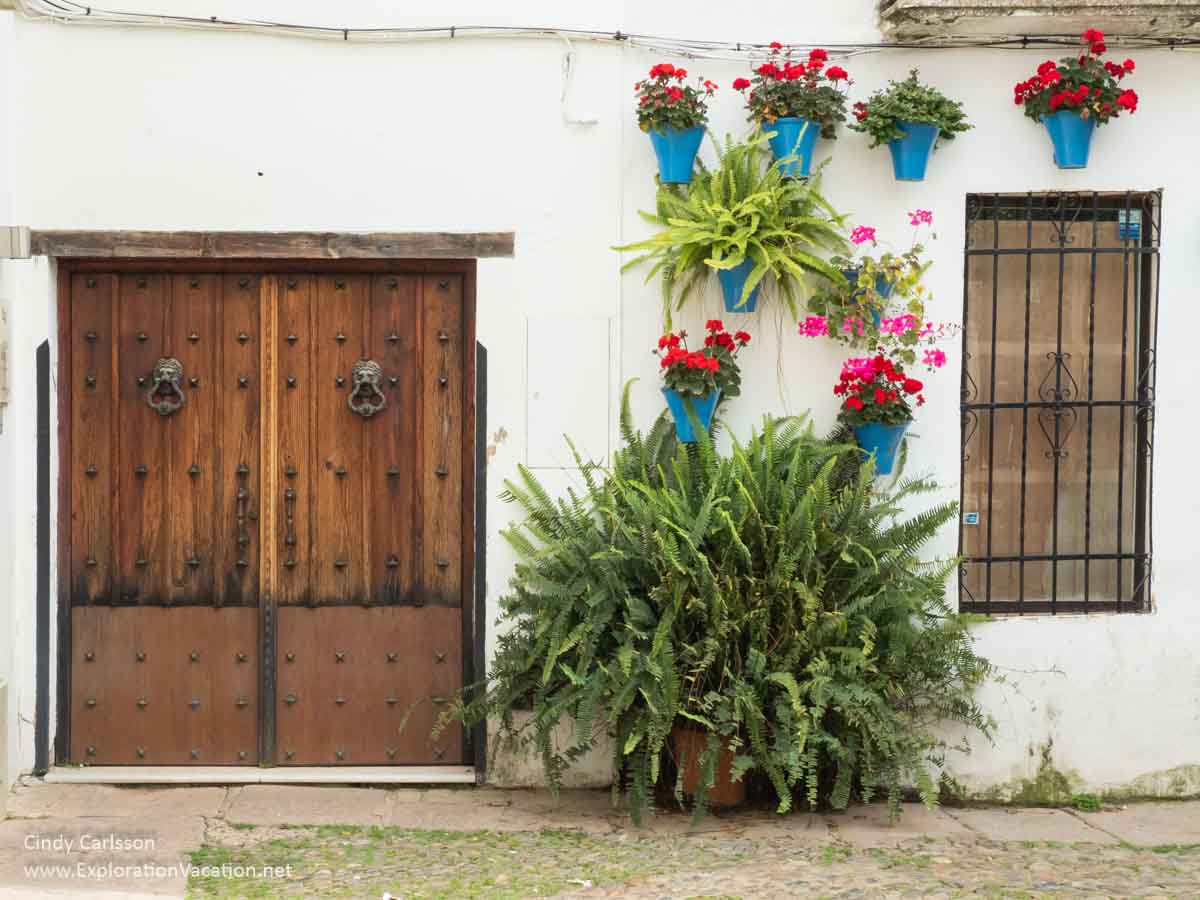 A white house front with flower pots with red geraniums and a large fern in Cordoba, Spain.